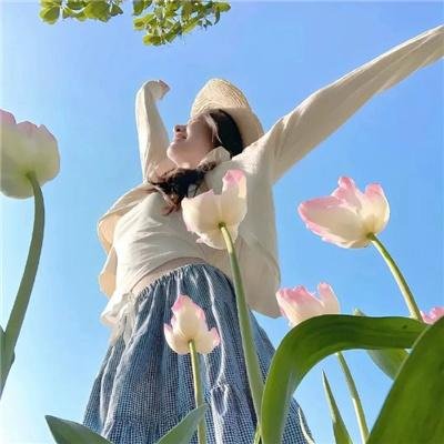 泰皇传奇二部曲