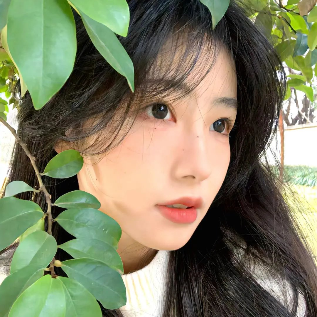 绿色眼镜蛇